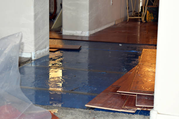 Professional Flood Cleanup technician working in Walls, MS